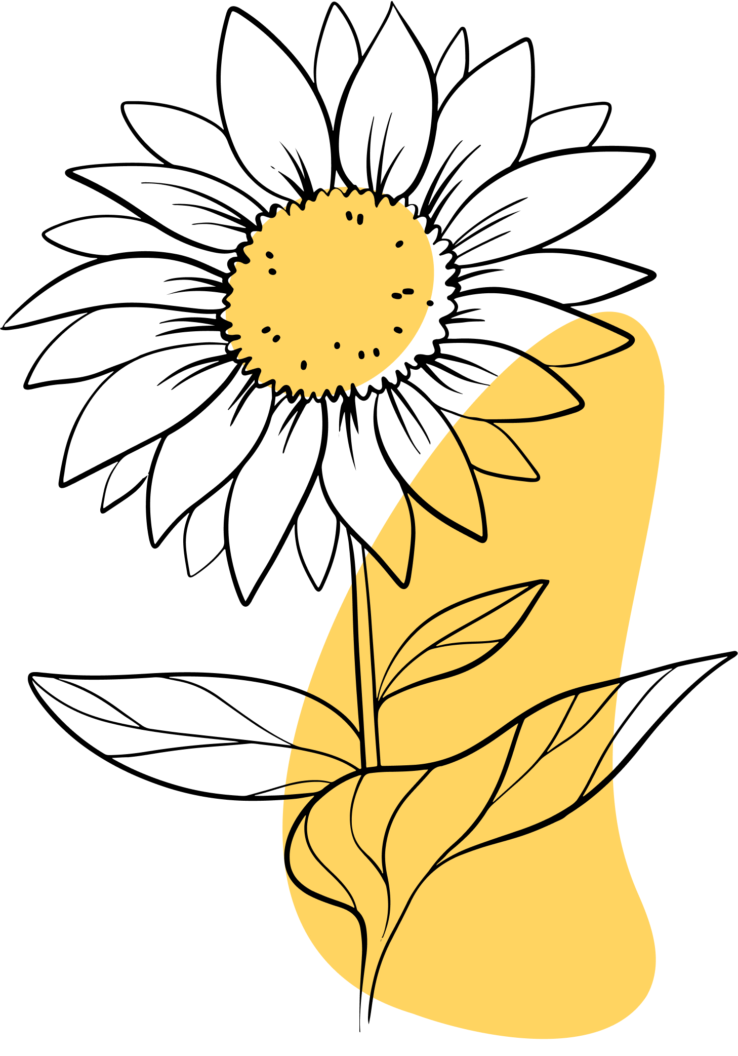 Illustration d'un tournesol